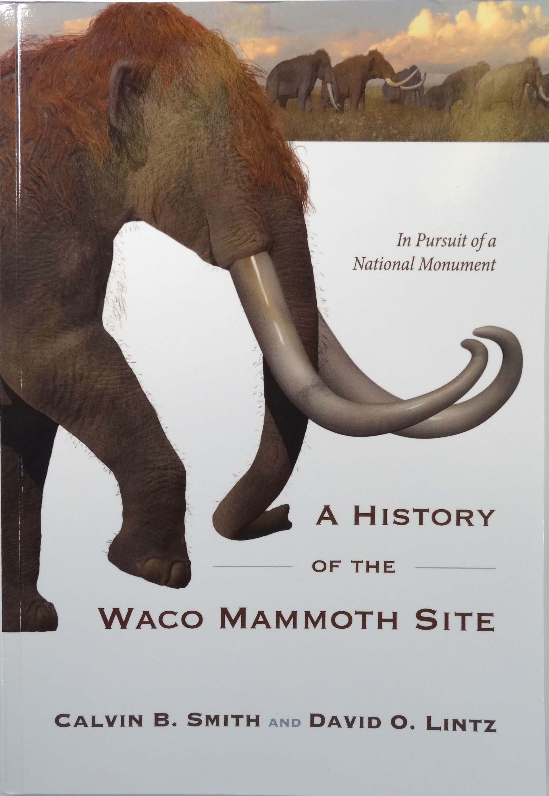 Front cover A History of the Waco Mammoth Site book